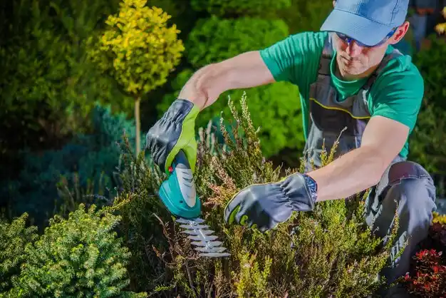 landscaping services St. Ann